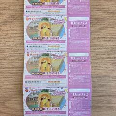 春秋限定東京サマーランド1DAYパスの画像
