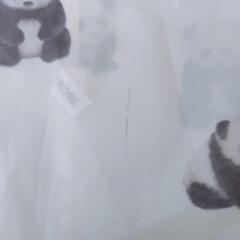 【美品】GELATO PIQUE エコバッグ 体操着バッグ サブバッグ等にの画像