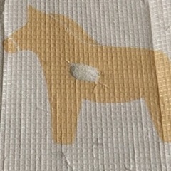 プレイマットの画像