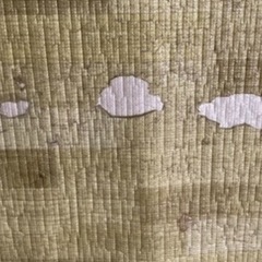 プレイマットの画像