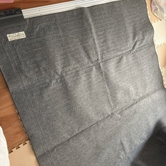 ホットカーペットの画像