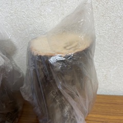 九州産.産卵木の画像