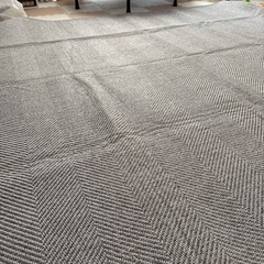 ラグの画像