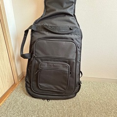PLAYTECH ( プレイテック ) EG-Bag Black エレキギター用ギグバッグの画像