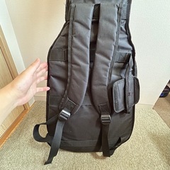 PLAYTECH ( プレイテック ) EG-Bag Black エレキギター用ギグバッグの画像