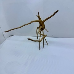②アクアリウム枝流木の画像