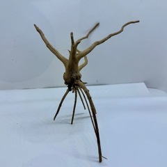 ②アクアリウム枝流木の画像
