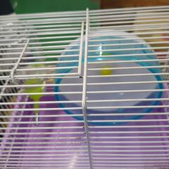 ハムスター用ゲージの画像