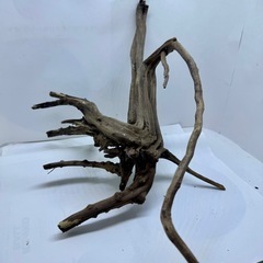 ③アクアリウム枝流木の画像