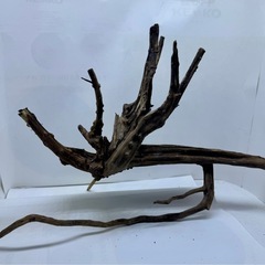 ③アクアリウム枝流木の画像