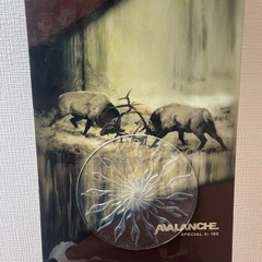 AVALNCHE SPECIAL X 155cm ビンディング付きの画像