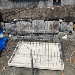 犬小屋の画像