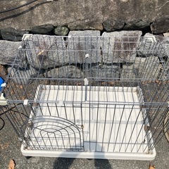 犬小屋の画像