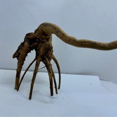 ④アクアリウム枝流木の画像