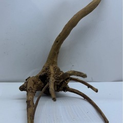 ④アクアリウム枝流木の画像