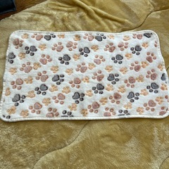 ペット用品の画像