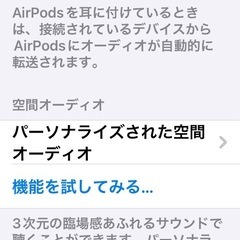 よく出来た⭕️⭕️品！Apple AirPods Pro 第1世代の画像