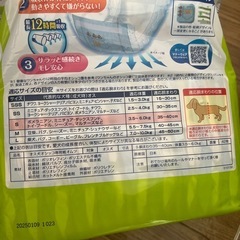 犬　おむつ　マナーウェアの画像
