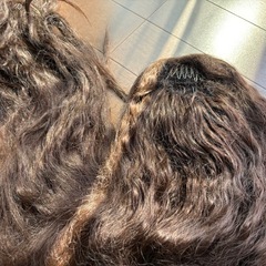 ヘアウィッグの画像