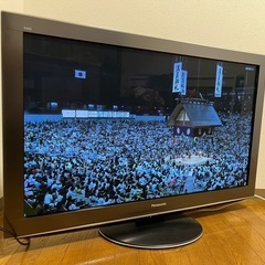 Panasonic VIERA TH-P42V2の画像