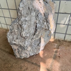 ①アクアリウム 石 大きめの画像