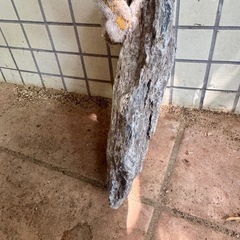 ①アクアリウム 石 大きめの画像