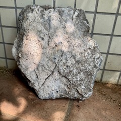 ①アクアリウム 石 大きめの画像