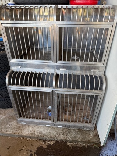 補強型  
犬小屋