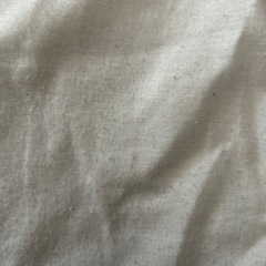 Tシャツの画像