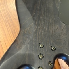 spector legend4 bartoliniの画像