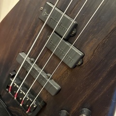 spector legend4 bartoliniの画像