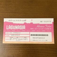 ラグナシア1日パスポート（ナイトプール付）　３枚セットの画像