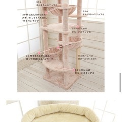 キャットタワーの画像