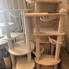キャットタワーの画像