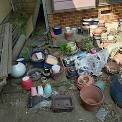 植木鉢 各種　早い者勝ちの画像