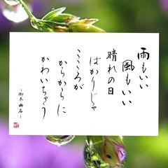 綾瀬市の皆様筆ペン実用書道「お名前を10分で美文字に」zoom無料参加キャンペーン通常3500円が無料に‼️の画像
