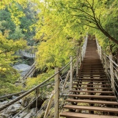 R7年10月4日(土)大柳川渓谷ハイキングに行きませんか？