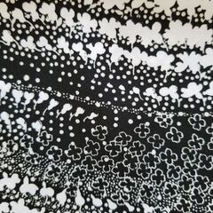 ブラウス用の生地の画像
