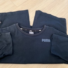 PUMAトップスの画像