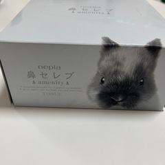 【新品】鼻セレブ ハーフサイズの画像