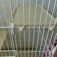 猫用ゲージの画像