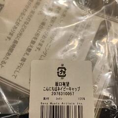 0831-209 キャップの画像
