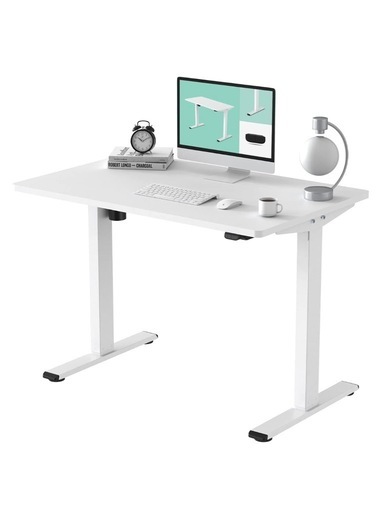 FLEXISPOT フレキシスポット　電動式スタンディングデスク (幅120×奥行60)  EG1セット (足白＋天板白)