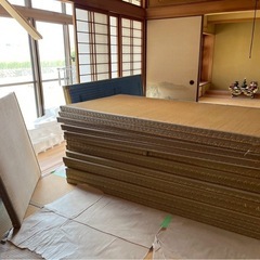 畳✨無料でお譲りします✨の画像