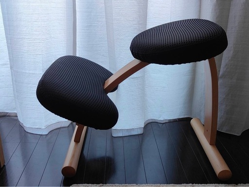 バランスイージー　ブラック　カバー付き