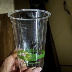 ミックスメダカ稚魚　　1匹の画像