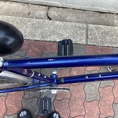 🚴 エレクトラ ティシーノ７sの画像
