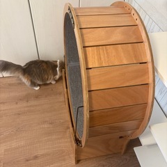 猫車の画像
