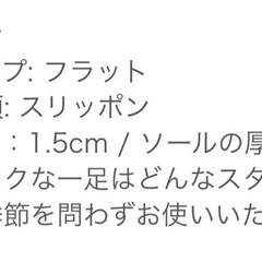 （新品箱付き）　ブラック メッシュ スリッポン　フラットシューズ 軽量の画像