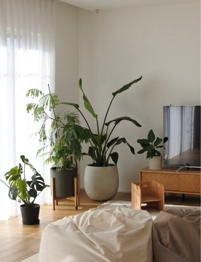 テラニアスバルーン アンティークホワイト 鉢カバー 観葉植物